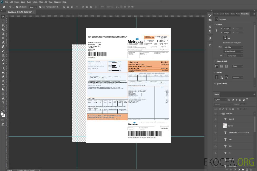 Argentine Metrogas modèle de facture de services publics facile à remplir au format Word et PDF template